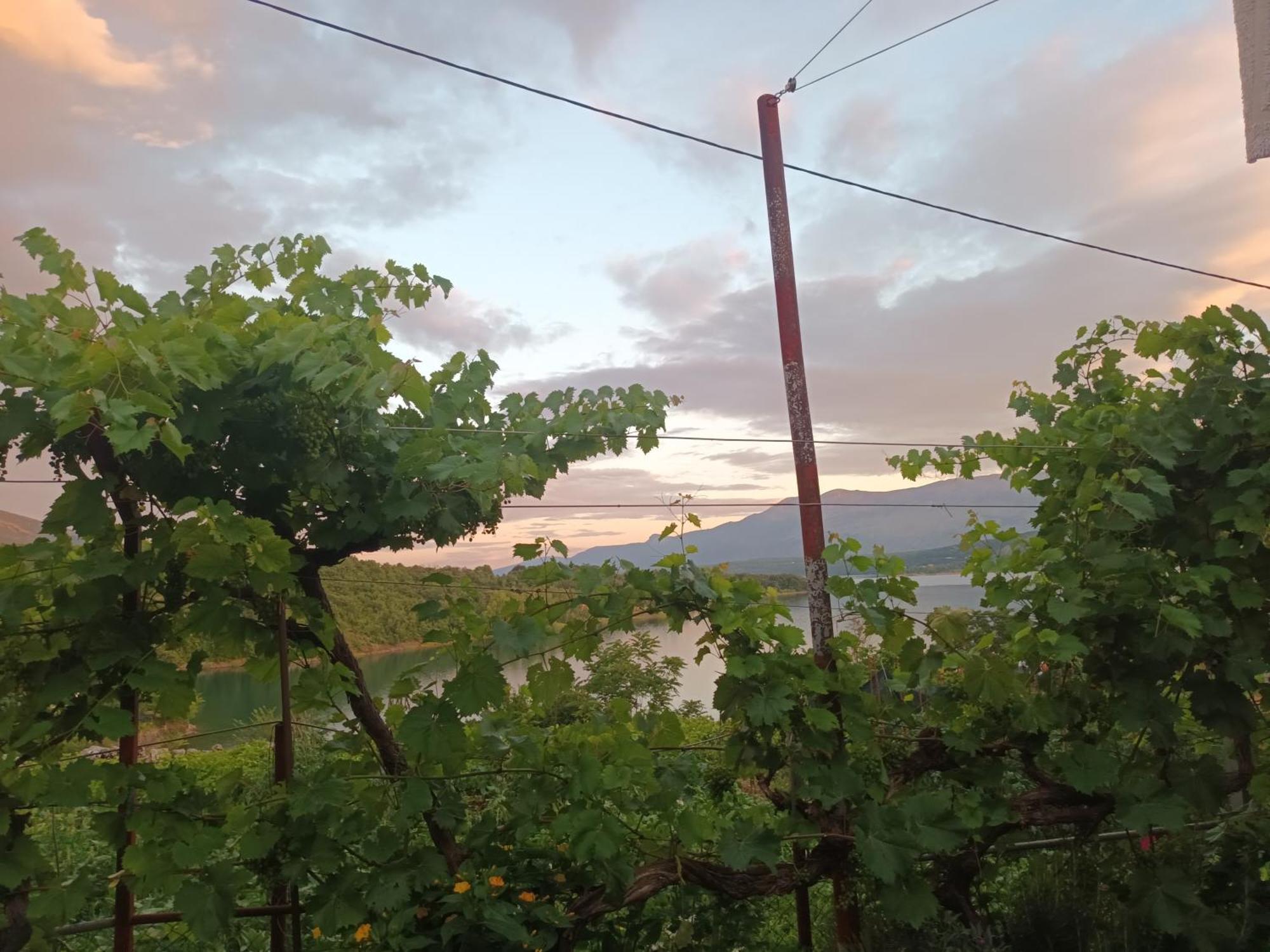 Brnara Kravarica Vrlika Exteriér fotografie